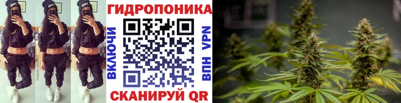 Где найти наркотики Ульяновск Псилоцибиновые грибы  Канабис  АМФ  Мефедрон  Cocaine  СК  Гашиш 