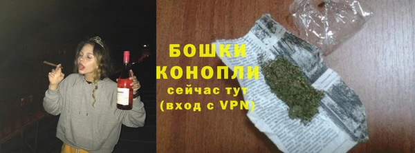 амф Коряжма