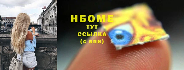 гашик Костерёво