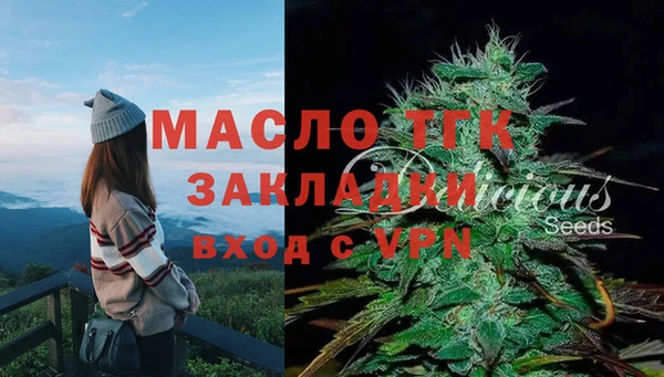 амф Коряжма
