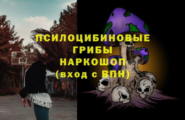 гашик Костерёво